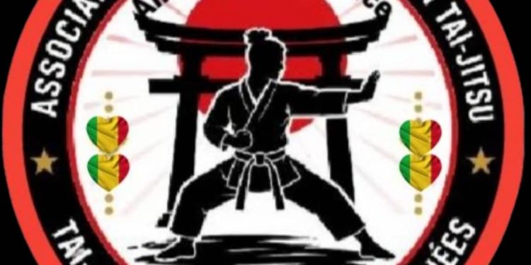 Arts Martiaux :Nihon Taï Jitsu.