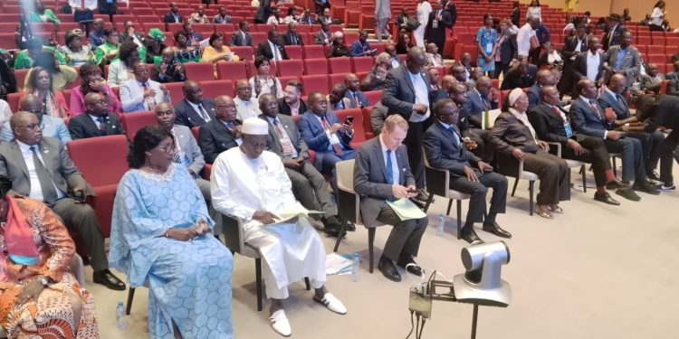 DIPLOMATIE ECONOMIQUE : LA FRANCOPHONIE ECONOMIQUE SE CONSOLIDE À  BRAZZAVILLE