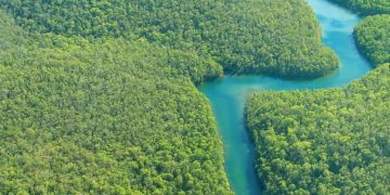 CONGO : GOUVERNANCE FORESTIERE, LES EXPERTS EN CONCLAVE