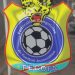 Football RDC: Les élections des différentes Ligues de Football congolais de nouveau reportées