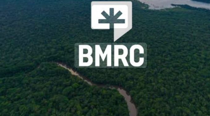 Gestion durable des forêts : Les parties prenantes de la partie sud sensibilisées sur la BMRC
