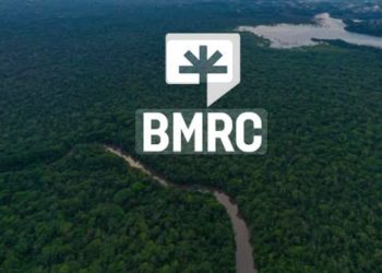 Gestion durable des forêts : Les parties prenantes de la partie sud sensibilisées sur la BMRC
