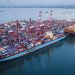 Congo Terminal propulse ses performances sur les grands navires au-delà de tous les précédents